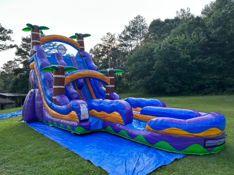 22ft Tropical Hurricane Double Lane Waterslide